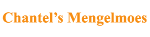 Chantal's Mengelmoes sponsort ons en heeft een heerlijke maaltijdsoep gemaakt! 